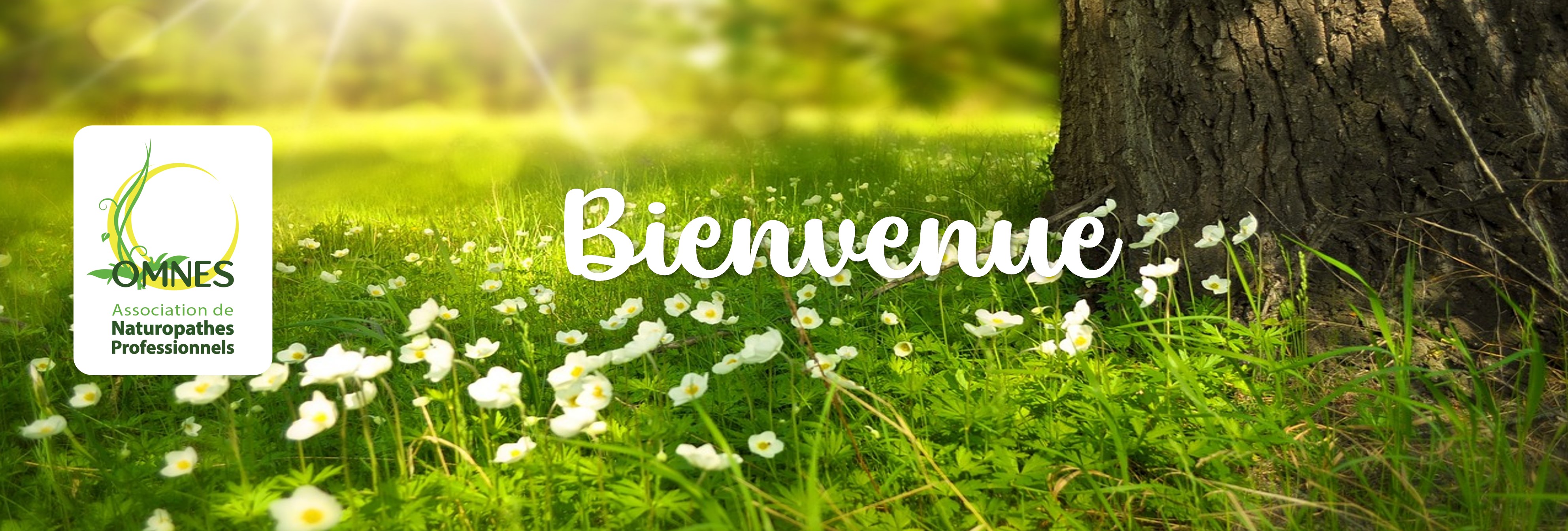 bienvenue2