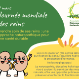 2026.03.04 jm des reins