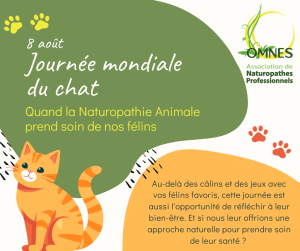 2025.08.08 jm du chat