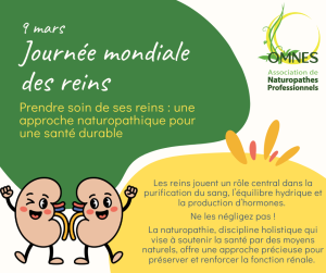 2026.03.04 jm des reins