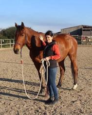 severine bordry naturopathie equine toulouse