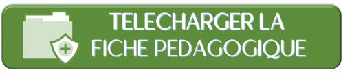 Bouton Telecharger fiche pedagogique4