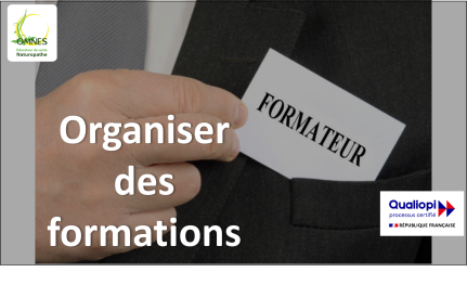 Image organisation formation