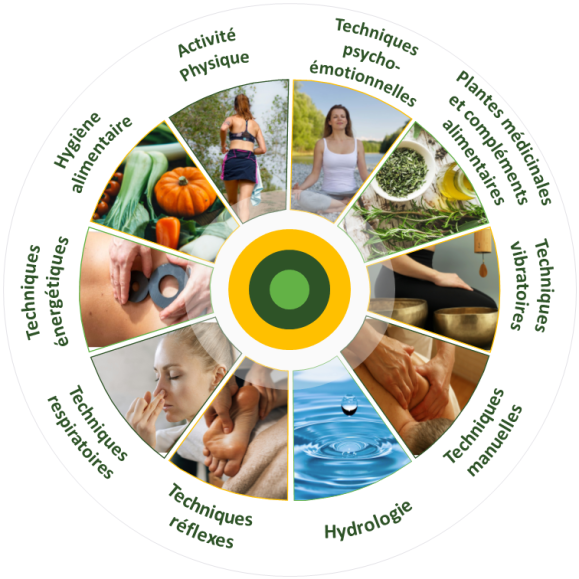 Roue 10 techniques naturopathiques 2024 VF