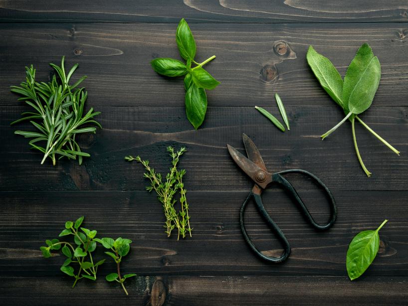 vecteezy fresh herbs and scissors 2105203