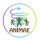 Avatar 1778166326
