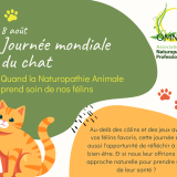 2025.08.08 jm du chat