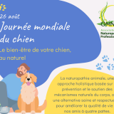 2025.08.26 jm du chien