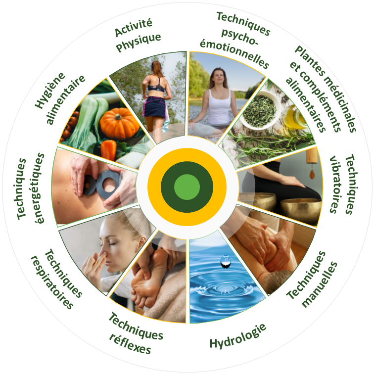 Roue 10 techniques naturopathiques 2024 VF transparent