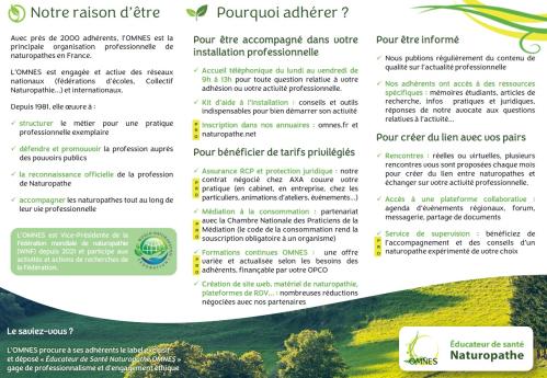 verso flyer pro